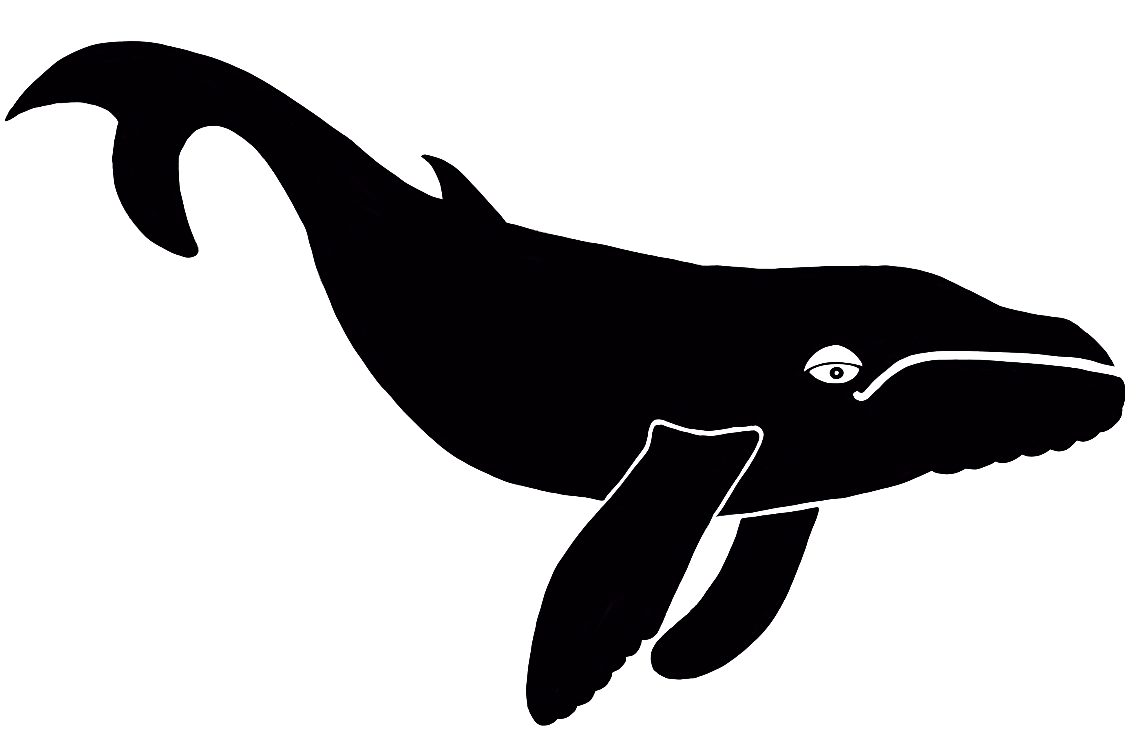 cropped-IMG_2326-1-1.png – Wild Whale Prints